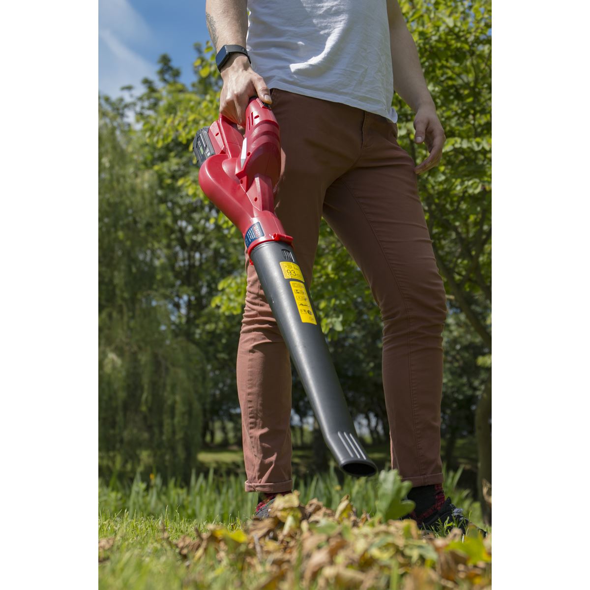 Sealey CB20VCOMBO2 Leaf Blower Cordless 20V SV20 Series with 2Ah Battery & Charger