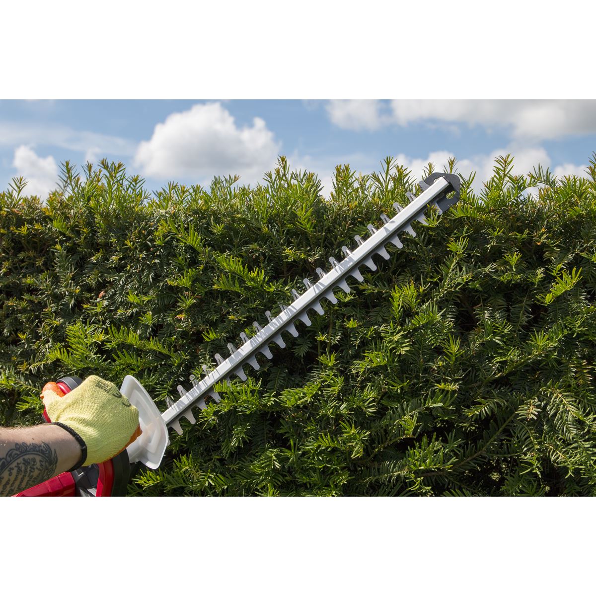 Sealey CHT20VCOMBO2 Hedge Trimmer Cordless 20V SV20 Series with 2Ah Battery & Charger