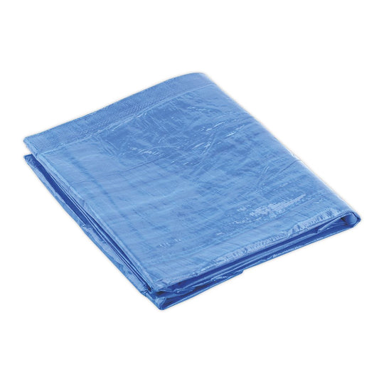 Sealey TARP2040 Tarpaulin 6.10 x 12.19m Blue