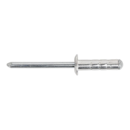 Sealey RVSET Clip Strip Deal - Aluminium Rivets