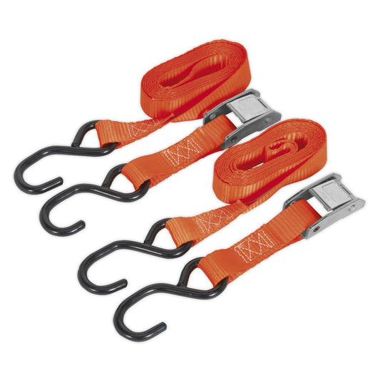 Sealey TD05025CS Cam Buckle Strap 25mm x 2.5m Polyester Webbing with S-Hooks 500kg Breaking Strength