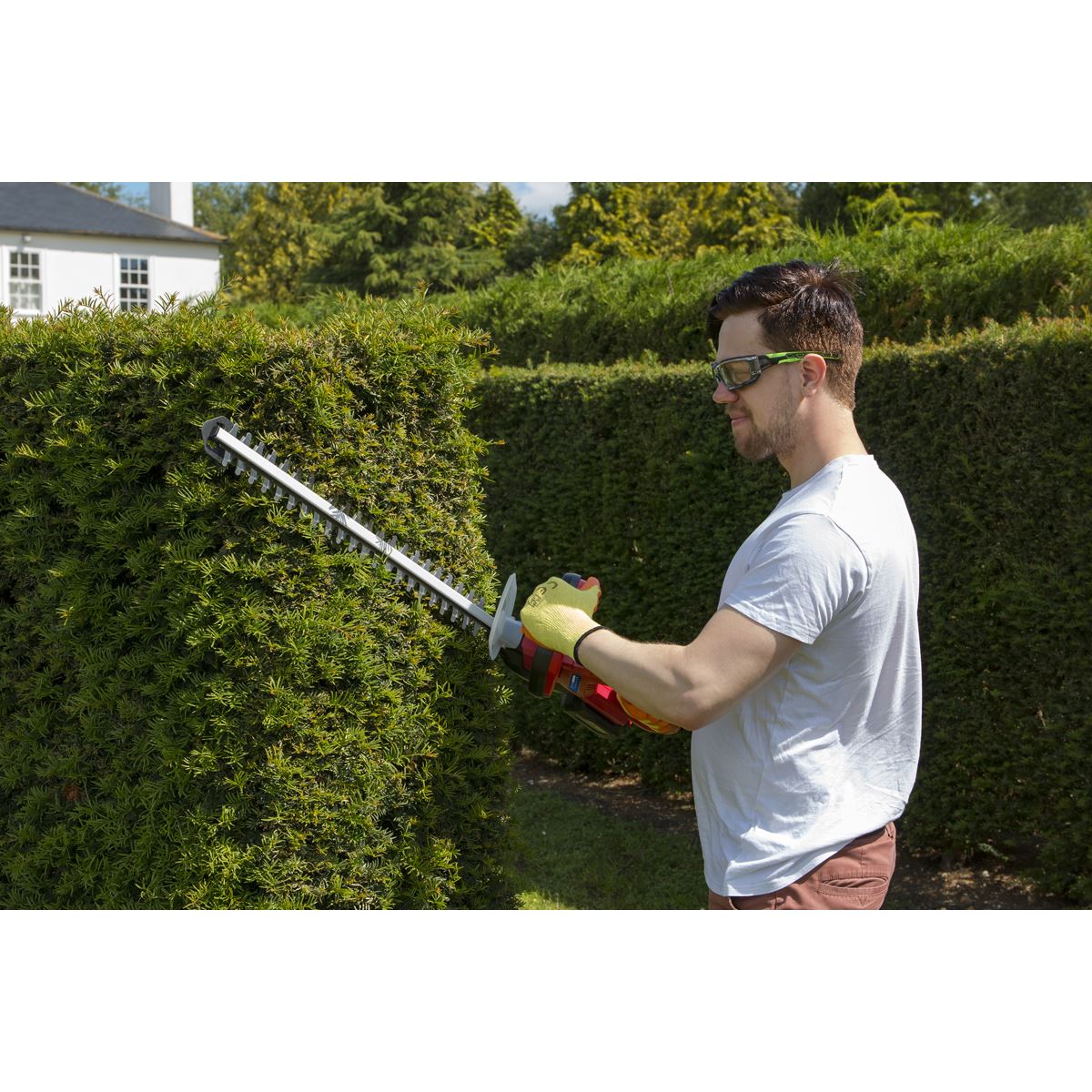 Sealey CHT20VCOMBO4 Hedge Trimmer Cordless 20V SV20 Series with 4Ah Battery & Charger