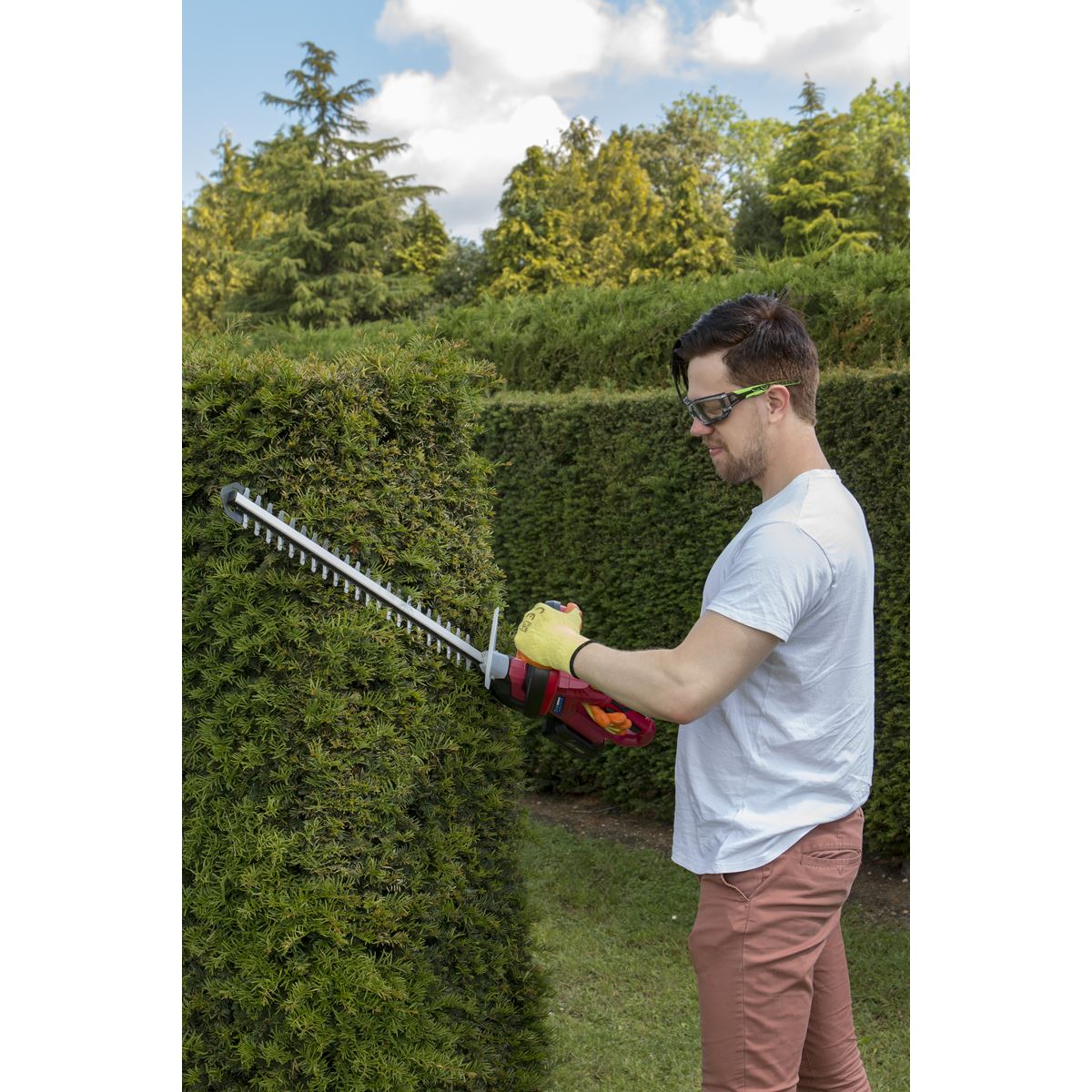 Sealey CHT20VCOMBO2 Hedge Trimmer Cordless 20V SV20 Series with 2Ah Battery & Charger