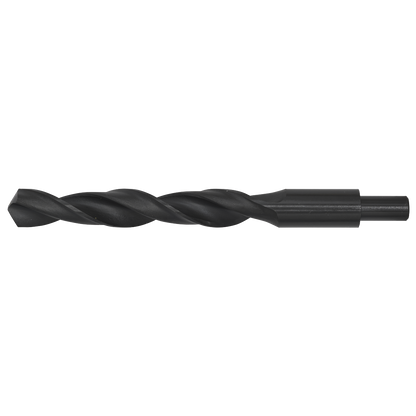 Sealey BSB20.0 Blacksmith Bit - Ø20 x 205mm