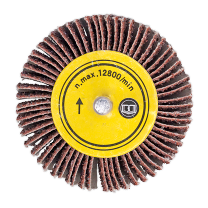 Sealey FW251060 Abrasive Flap Wheel Ø25 x 10mm Ø6mm Shaft 60Grit