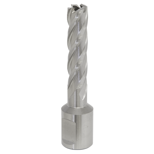 Sealey RBHSS12L Mag Drill Bit HSS Ø12mm - Cut Depth 50mm