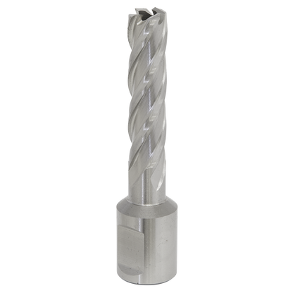 Sealey RBHSS12L Mag Drill Bit HSS Ø12mm - Cut Depth 50mm