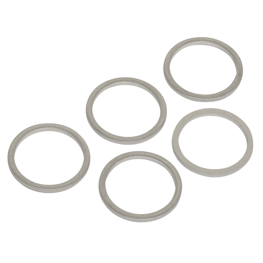 Sealey VS17SPW Sump Plug Washer M17 - Pack of 5