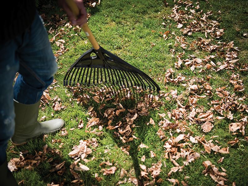 Fiskars Classic Large Leaf Rake 1001584