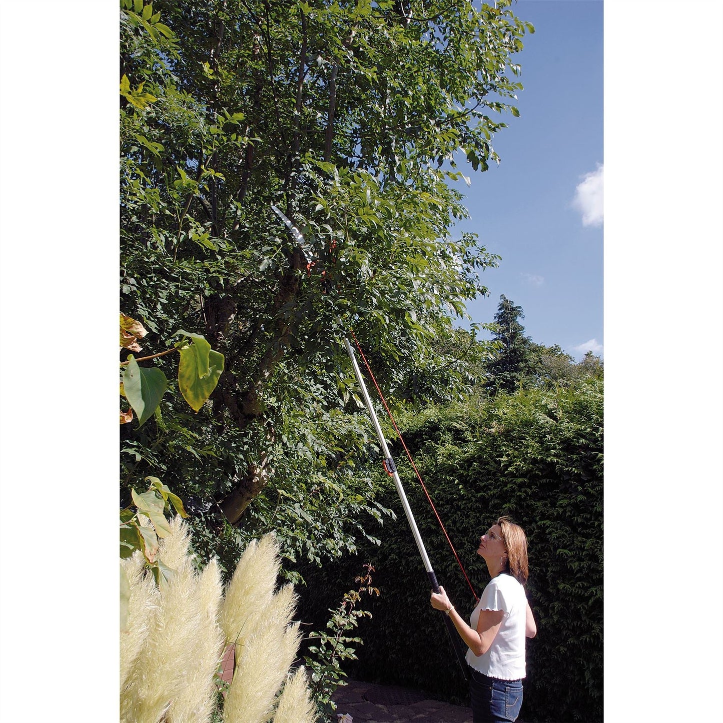 Draper Expert Tree Pruner with Telescopic Handle - Cutting Capacity 32mm Dia. 45334