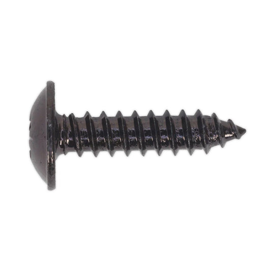 Sealey BST4819 Self-Tapping Screw 4.8 x 19mm Flanged Head Black Pozi Pack of 100