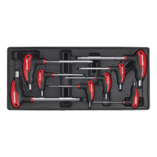 Sealey TBT06 Tool Tray with T-Handle Ball-End Hex Key Set 8pc